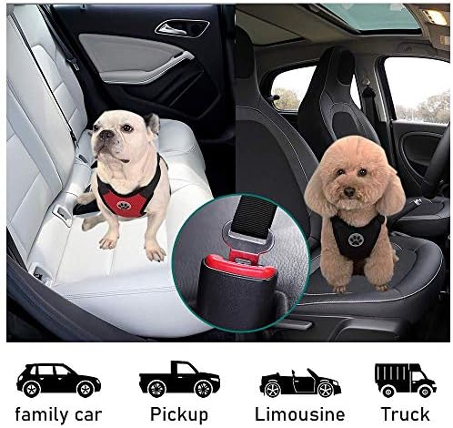 Kosttapaws כלב מכונית האפוד רתמת הבטיחות להגדיר, כלב מכונית מתכוונן לחיות מחמד לרתום עם בטיחות חגורת הבטיחות, לחץ פעמיים