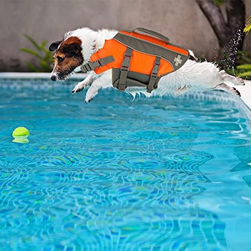 העליון כפה כלב הצלה, משקף מתכוונן מצוף על המים בטיחות